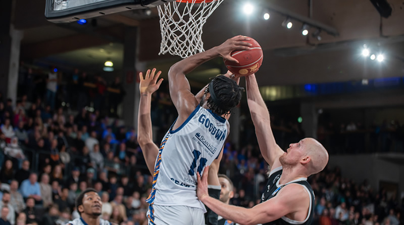 SEAWOLVES verlieren siebtes Spiel in Folge