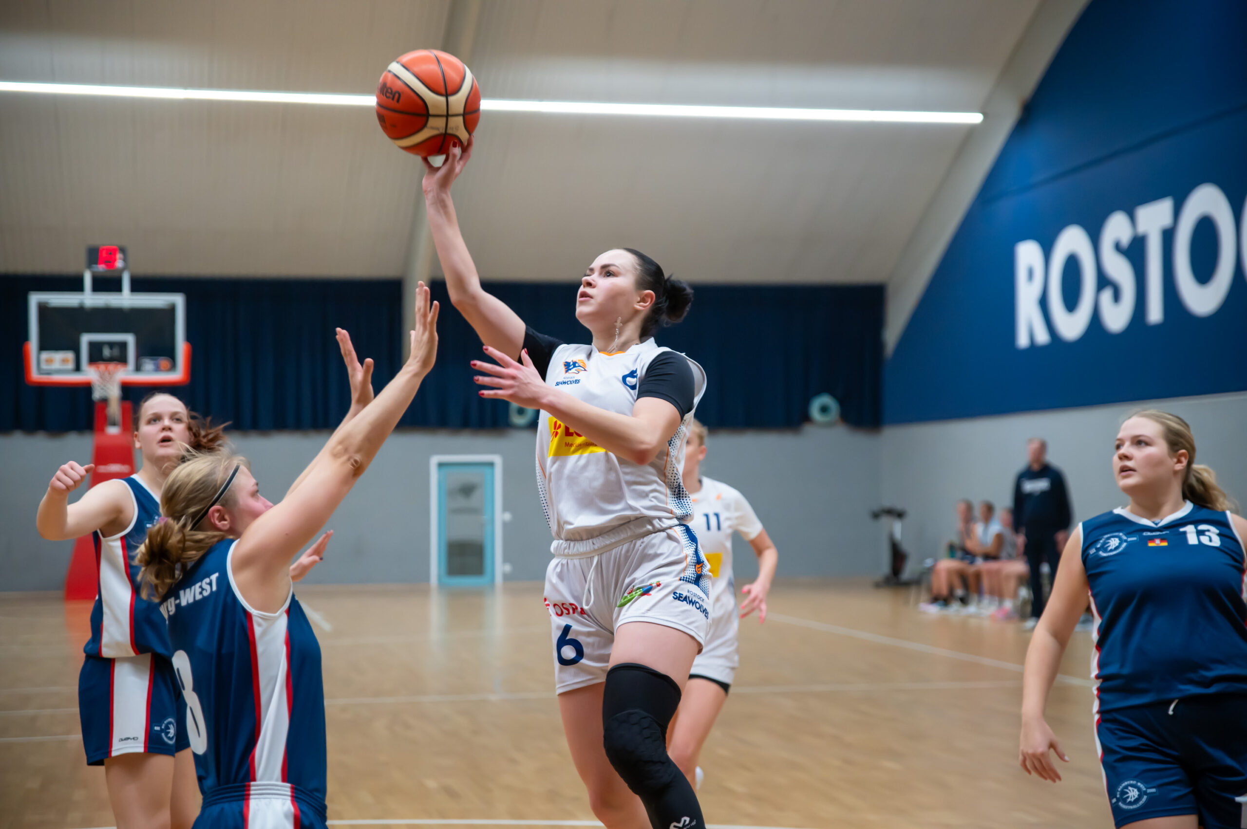 Seawolves Frauen feiern siebten Heimsieg in Folge / Niederlagen für ProB, JBBL und NBBL Seawolves Frauen feiern siebten Heimsieg in Folge / Niederlagen für ProB, JBBL und NBBL